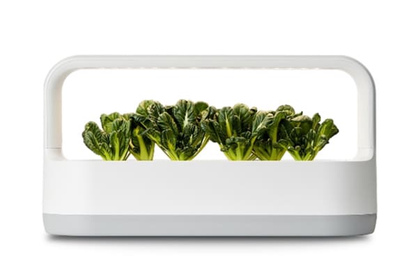 Tiiun”智能蔬菜箱可置放在家中各种角落，创造疗愈的氛围。 