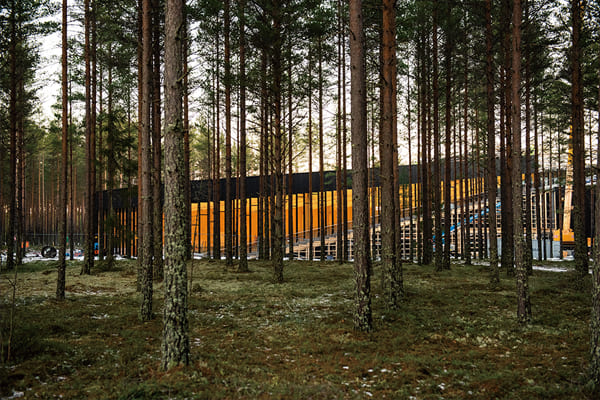 园区名副其实被「挪威的森林」环绕，建筑也致力于融入自然环境当中。++